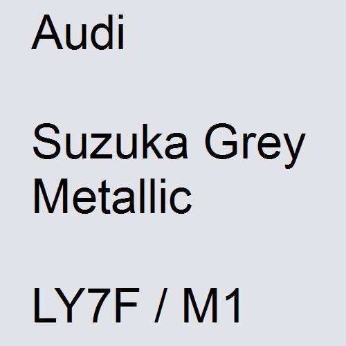 Audi, Suzuka Grey Metallic, LY7F / M1.